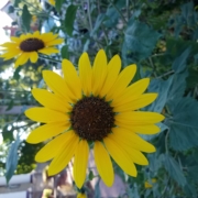 20180826_081732